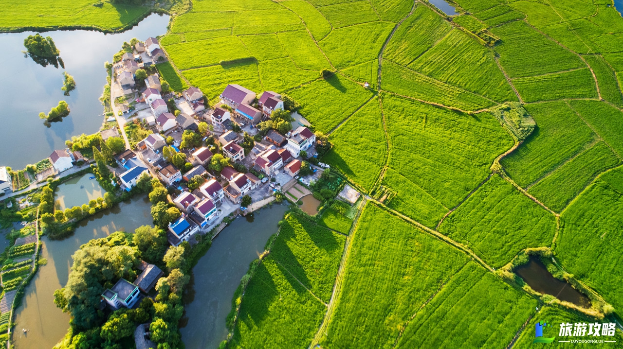 金秋时节庆丰收 乡村旅游欢乐多