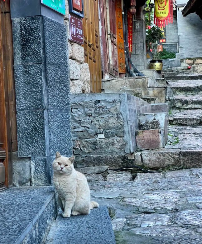 大西北旅游：大西北探秘之旅