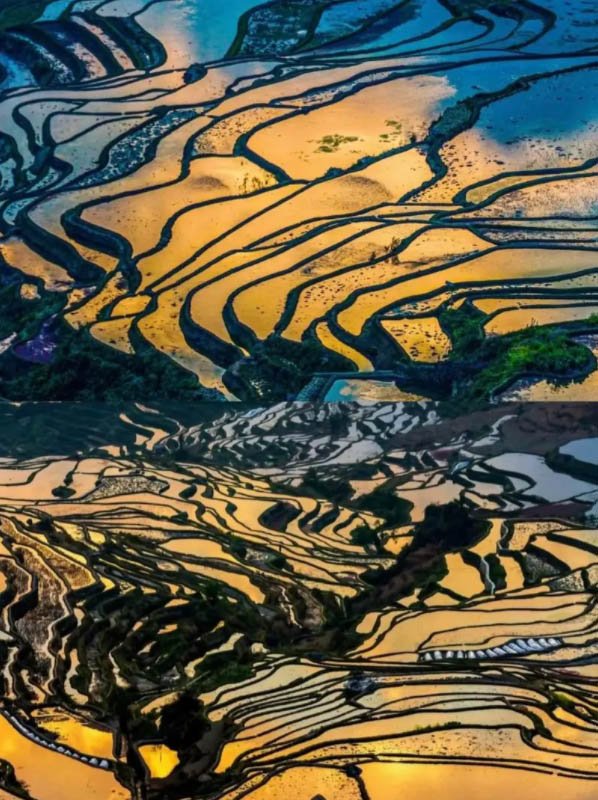 旅游景点门票回收：旅游景点门票再生利用