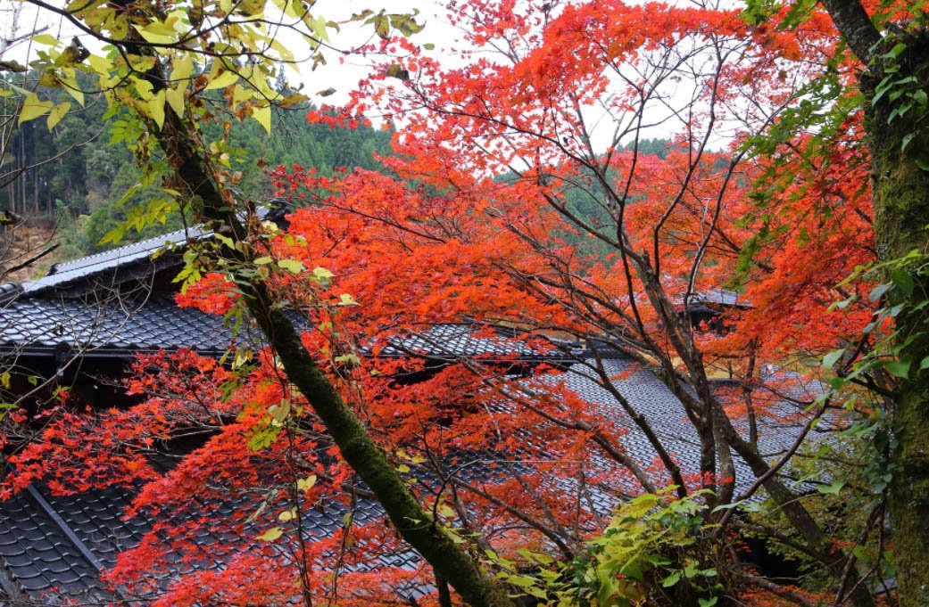 旅游景点门票多少钱：旅游景点门票价格介绍