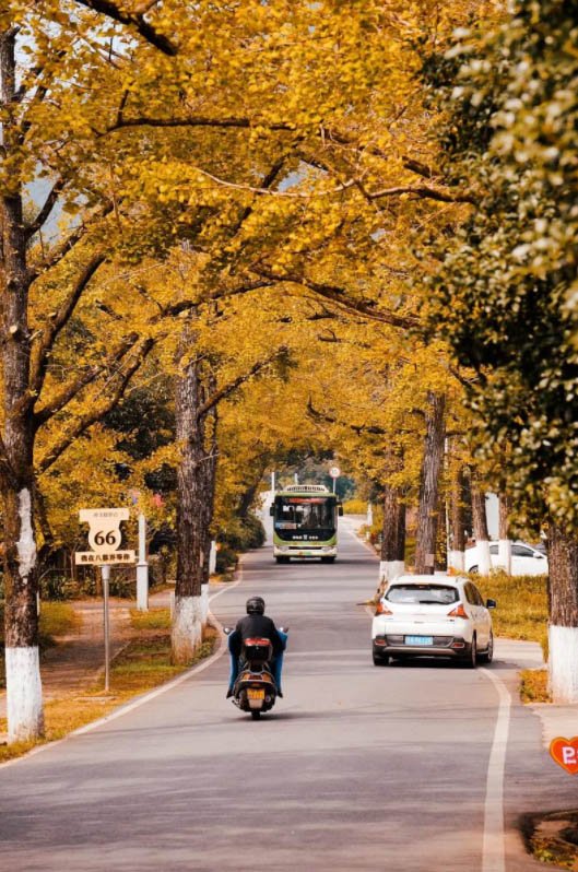 旅游景点和门票：重写后的标题，热门景点游玩攻略