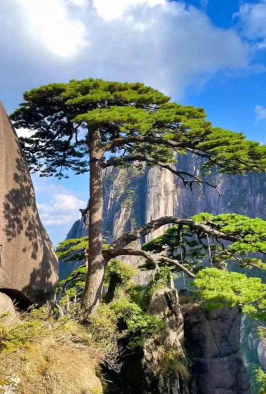 黄山风景区旅游攻略：黄山风景区完整旅游指南