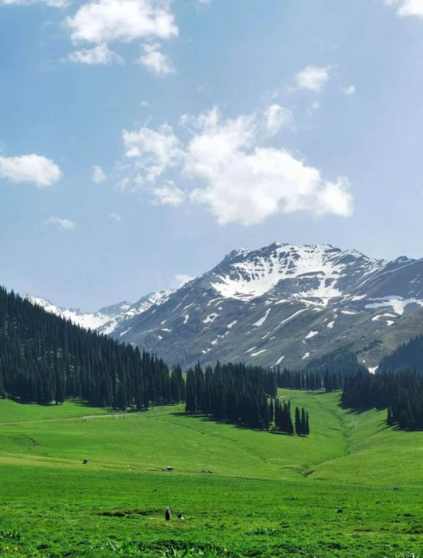 旅游攻略网站：探索绝美风景，体验当地文化-完美旅游指南